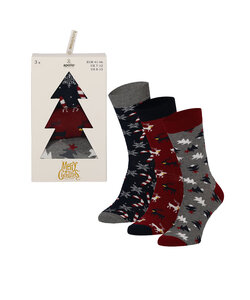 Apollo Heren Kerstsokken Giftbox 3-Pack Print