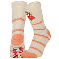 Apollo Apollo Ladies Socks Christmas Print Chenille Bedsocks Giftbox 3-Pack Christmas Print