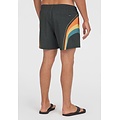 O'Neill O'Neill Heren Zwemshort O'RIGINALS LONGBOARD 15" Donkergrijs/Multicolor