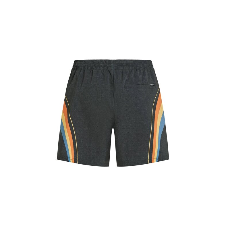 O'Neill O'Neill Men's Swim Short O'RIGINALS LONGBOARD 15" Dark Gray/Multicolor
