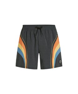 O'Neill Heren Zwemshort O'RIGINALS LONGBOARD 15" Donkergrijs/Multicolor