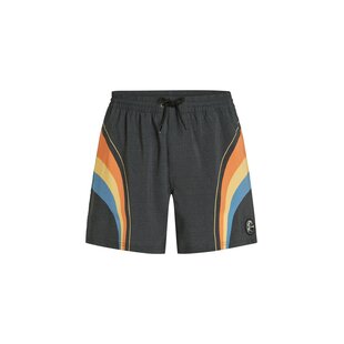 O'Neill Heren Zwemshort O'RIGINALS LONGBOARD 15" Donkergrijs/Multicolor