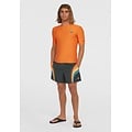O'Neill O'Neill Men's Swim Short O'RIGINALS LONGBOARD 15" Dark Gray/Multicolor