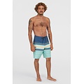 O'Neill O'Neill Men's Boardshort Long Swim Short Hyperfreak Heat Stripe 21" Dark Blue/Blue Striped