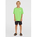 O'Neill O'Neill Boys Swim Short CALI STRIPE 14" Green/Black Text
