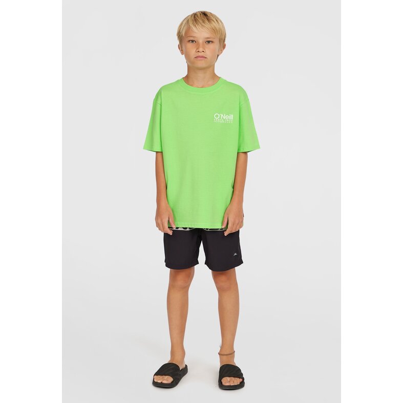 O'Neill O'Neill Jongens Zwemshort CALI STRIPE 14" Groen/Zwart Tekst