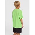 O'Neill O'Neill Boys Swim Short CALI STRIPE 14" Green/Black Text