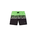 O'Neill O'Neill Boys Swim Short CALI STRIPE 14" Green/Black Text