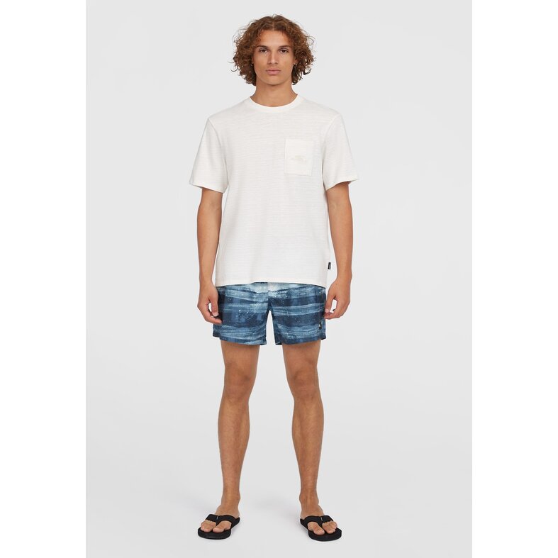 O'Neill O'Neill Men's Swim Short CALI GRADIENT 15" Blue Sea Print