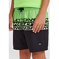 O'Neill O'Neill Boys Swim Short CALI STRIPE 14" Green/Black Text