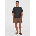 O'Neill O'Neill Men's Swim Short CALI PRINT 15" Brown/Orange Striped