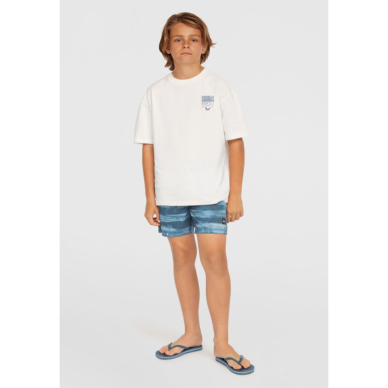 O'Neill O'Neill Boys Swim Short CALI GRADIENT 14" Blue Sea Print