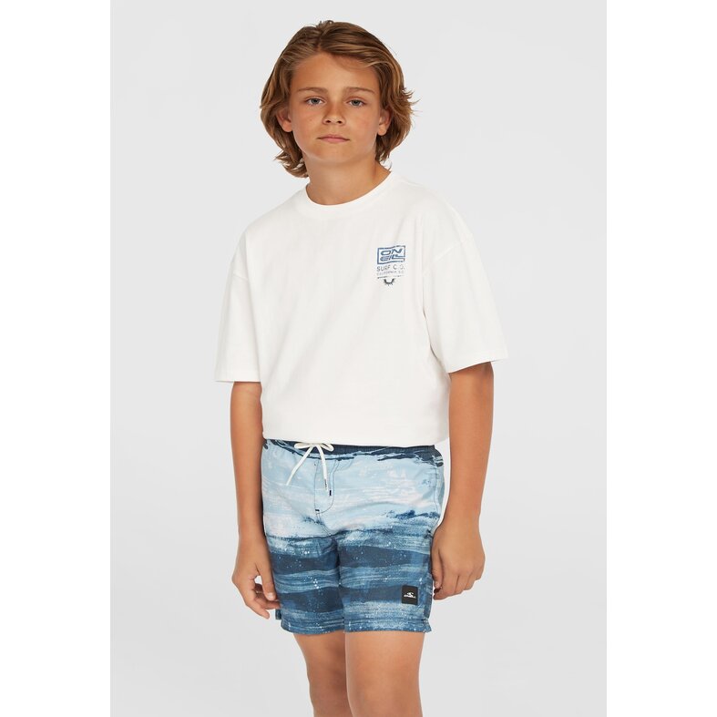 O'Neill O'Neill Boys Swim Short CALI GRADIENT 14" Blue Sea Print