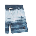 O'Neill O'Neill Jongens Zwemshort CALI GRADIENT 14" Blauw Zee Print