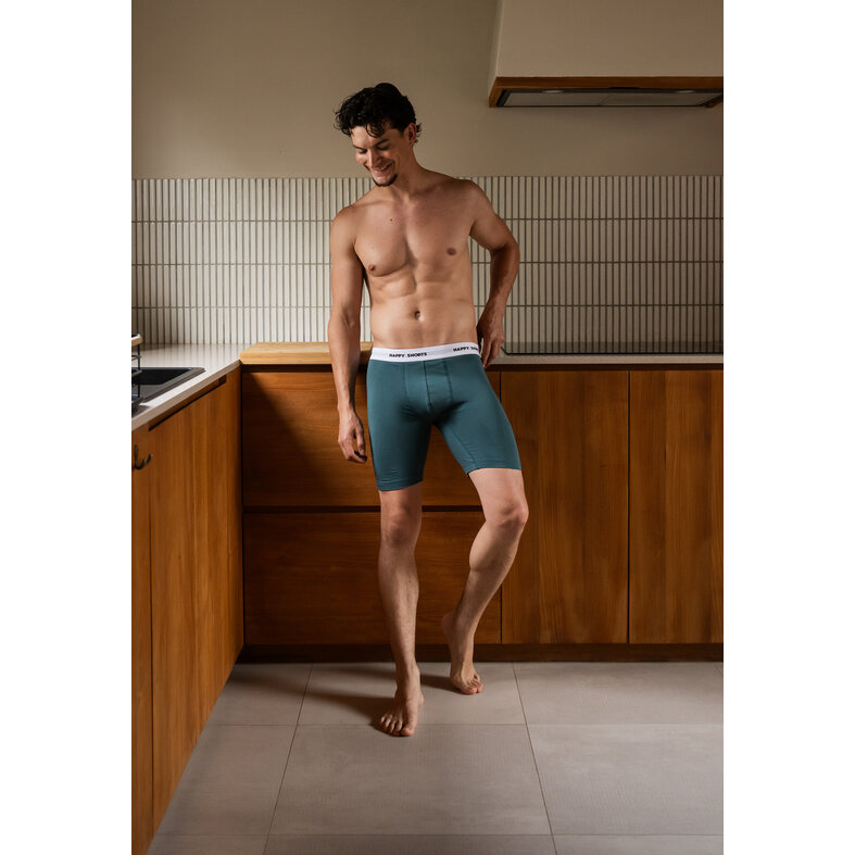 Happy Shorts Happy Shorts Heren Boxershorts Met Lange Pijpen Boxer Briefs 4-Pack Lichtblauw/Groen