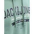 Jack & Jones Jack & Jones Heren Hoodie JJELOGO Logo Print Turquoise