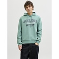 Jack & Jones Jack & Jones Men's Hoodie JJELOGO Logo Print Turquoise