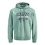 Jack & Jones Jack & Jones Men's Hoodie JJELOGO Logo Print Turquoise