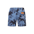 WATTS WATTS Heren Zwemshort RAINBOW Palm Print Blauwgrijs