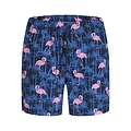 Jack & Jones Jack & Jones Heren Zwemshort JPSTMAUI VIBES Donkerblauw Flamingo/Palm Print