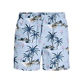 Jack & Jones Jack & Jones Men's Swim Short JPSTMAUI VIBES Light Blue Flamingo/Palm Print