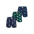 Phil & Co Phil & Co Wide Boxer Shorts Men With Print 3-Pack