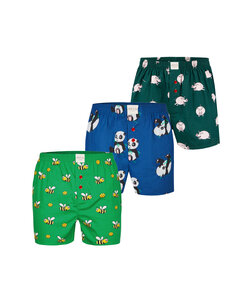 Phil & Co Wide Boxer Shorts Men With Print 3-Pack