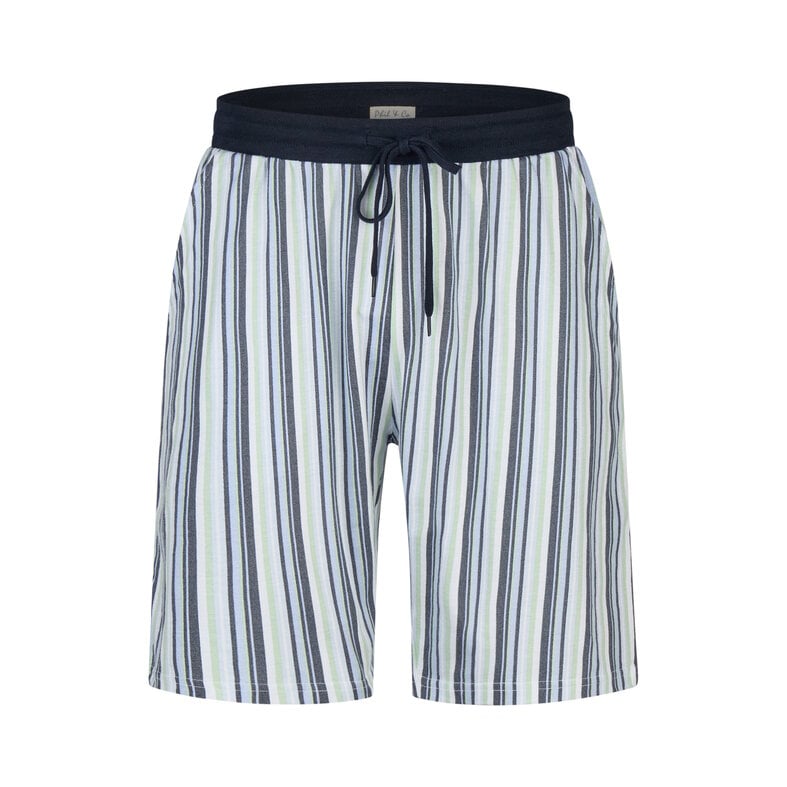 Phil & Co Phil & Co Men's Short Pants Short Pajama Set Blue Striped