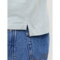 Jack & Jones Jack & Jones Heren Polo JJEPAULOS Lichtgroen/Lichtblauw