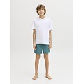 Jack & Jones Junior Jack & Jones Junior Jongens Zwemshort JPSTMAUI WAVE Logo Groen
