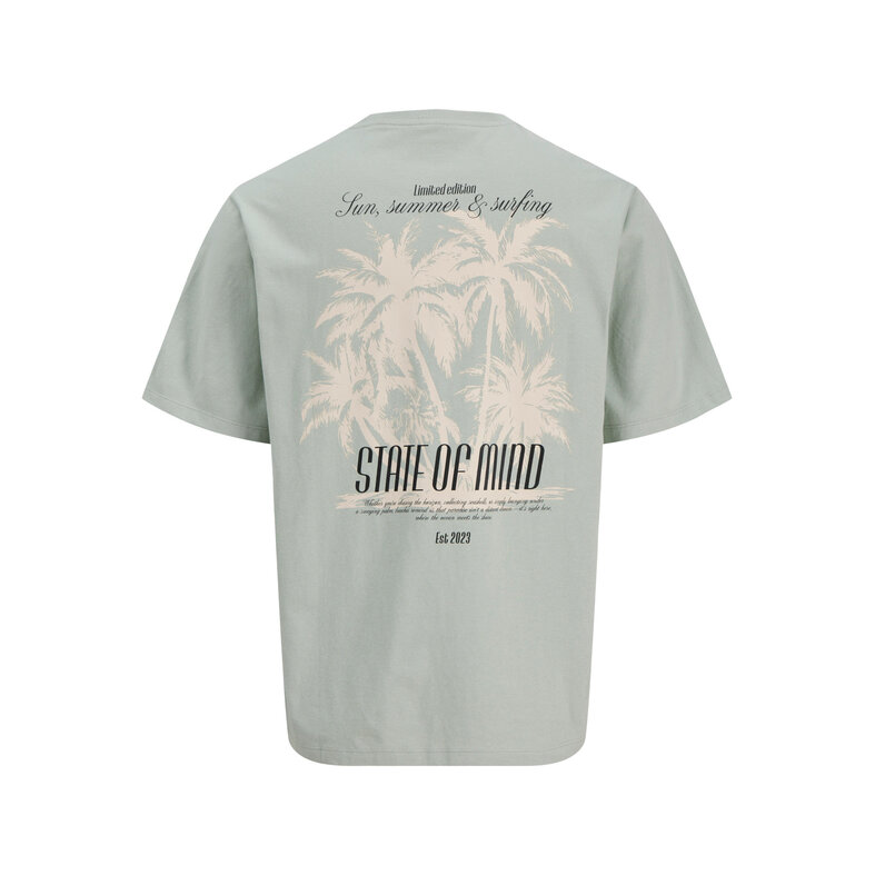 Jack & Jones JJ REBEL Heren Backprint T-shirt JREBCHRISTIAN Grijs