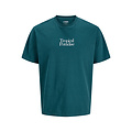 Jack & Jones JJ REBEL Men's Backprint T-shirt JREBCHRISTIAN Teal