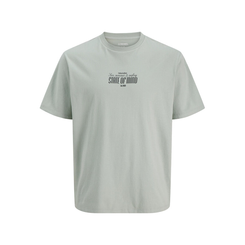 Jack & Jones JJ REBEL Heren Backprint T-shirt JREBCHRISTIAN Grijs