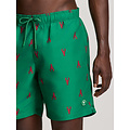 Shiwi Shiwi Heren Zwemshort MIKE 7" Kreeft Print Groen/Rood