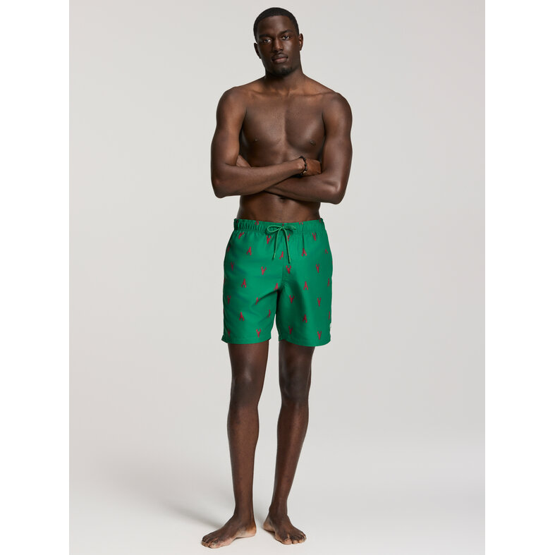 Shiwi Shiwi Men's Swim Short MIKE 7" Lobster Print Green/Red