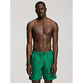 Shiwi Shiwi Men's Swim Short MIKE 7" Lobster Print Green/Red