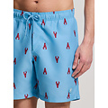 Shiwi Shiwi Heren Zwemshort MIKE 7" Kreeft Print Blauw/Rood