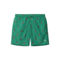 Shiwi Shiwi Heren Zwemshort MIKE 7" Kreeft Print Groen/Rood
