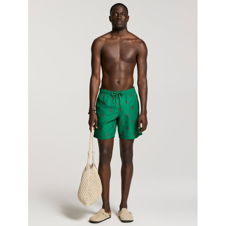Shiwi Shiwi Men's Swim Short MIKE 7" Lobster Print Green/Red