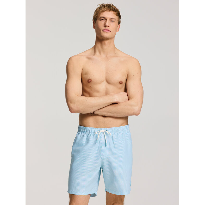 Shiwi Shiwi Men's Swim Short MIKE 7" Striped Light Blue/White