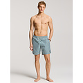 Shiwi Shiwi Heren Zwemshort MIKE 7" Print Groen