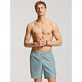 Shiwi Shiwi Men's Swim Short MIKE 7" Print Green
