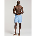 Shiwi Shiwi Heren Zwemshort MIKE 7" Print Lichtblauw