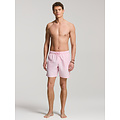 Shiwi Shiwi Men's Swim Short MIKE 7" Solid Light Pink