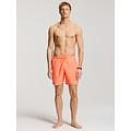 Shiwi Shiwi Men's Swim Short MIKE 7" Solid Neon Orange