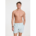 Shiwi Shiwi Heren Zwemshort Broad Stripe Lichtgroen/Wit