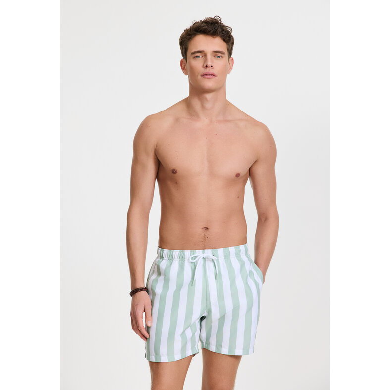 Shiwi Shiwi Men's Swim Short Broad Stripe Light Green/White