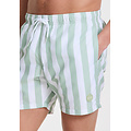 Shiwi Shiwi Men's Swim Short Broad Stripe Light Green/White