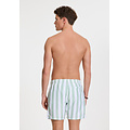 Shiwi Shiwi Heren Zwemshort Broad Stripe Lichtgroen/Wit