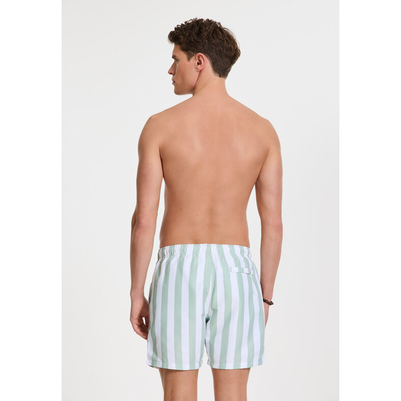 Shiwi Shiwi Men's Swim Short Broad Stripe Light Green/White